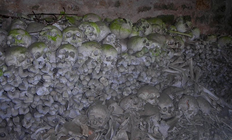 2011-06-16 12 Tregornan - Depuis le temps Enfin de la visite.JPG